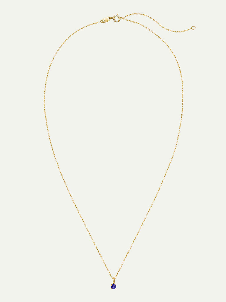 Geburtsstein Dezember Halskette | 14k Echtgold & Iolite von DEAR DARLING BERLIN