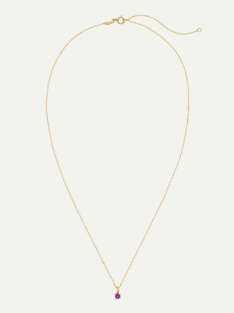 Geburtsstein Februar Halskette | 14k Echtgold von DEAR DARLING BERLIN